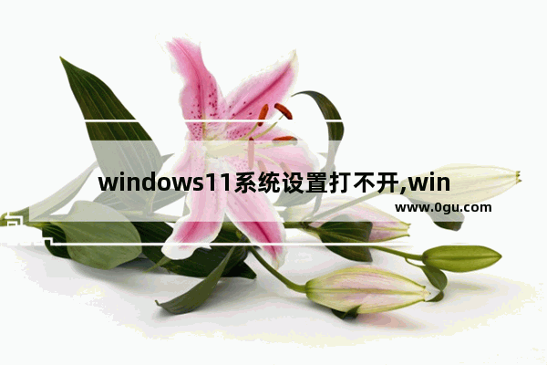 windows11系统设置打不开,win11设置无法打开 1