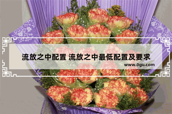 流放之中配置 流放之中最低配置及要求