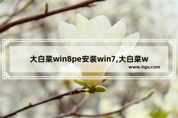 大白菜win8pe安装win7,大白菜win10pe装机教程