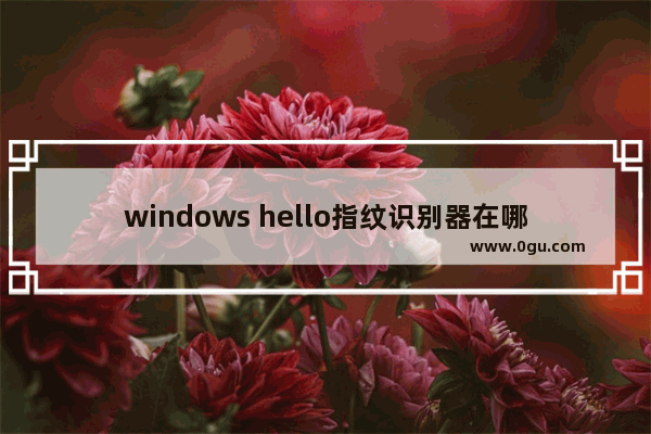 windows hello指纹识别器在哪,windows hello指纹设置