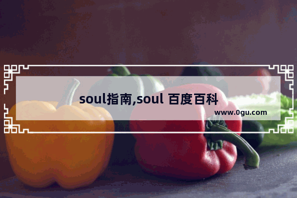 soul指南,soul 百度百科