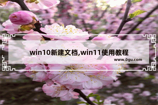 win10新建文档,win11使用教程