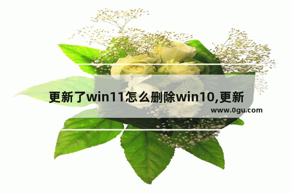 更新了win11怎么删除win10,更新windows11教程