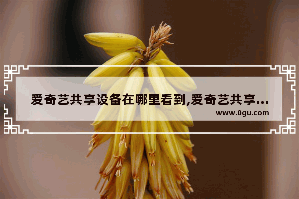 爱奇艺共享设备在哪里看到,爱奇艺共享设备在哪里看访问记录