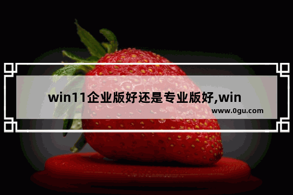 win11企业版好还是专业版好,win 10企业版和专业版的区别