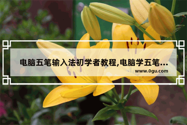 电脑五笔输入法初学者教程,电脑学五笔输入法