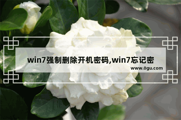win7强制删除开机密码,win7忘记密码强行删除开机密码