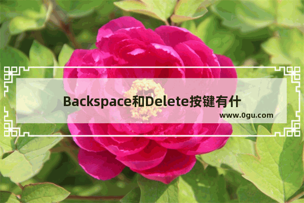 Backspace和Delete按键有什么形同与区别?
