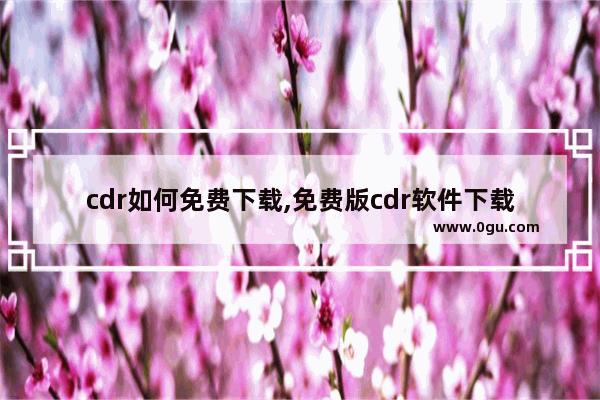 cdr如何免费下载,免费版cdr软件下载教程