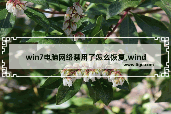 win7电脑网络禁用了怎么恢复,windows7网络禁用了怎么恢复
