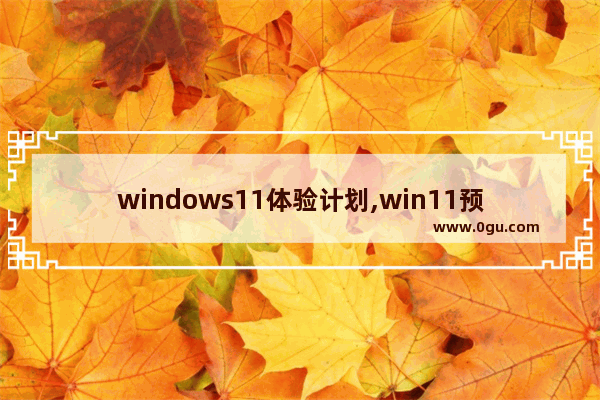 windows11体验计划,win11预览体验计划选哪个渠道