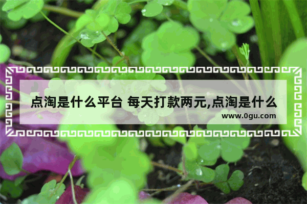 点淘是什么平台 每天打款两元,点淘是什么网站