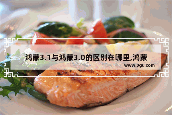 鸿蒙3.1与鸿蒙3.0的区别在哪里,鸿蒙3.1与鸿蒙3.0的区别与联系