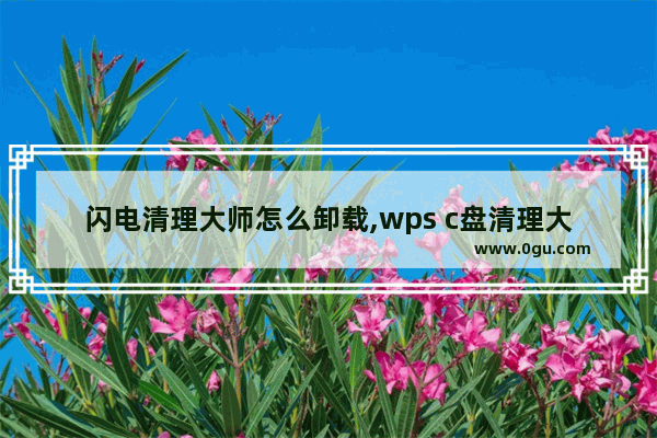 闪电清理大师怎么卸载,wps c盘清理大师怎么卸载