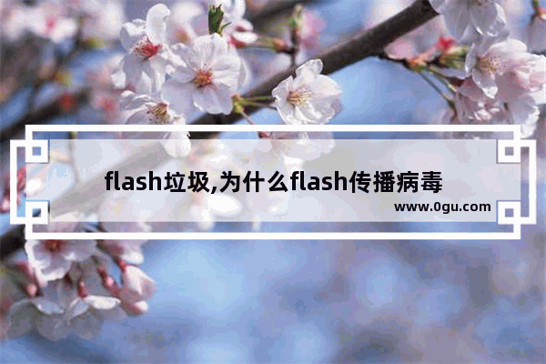 flash垃圾,为什么flash传播病毒