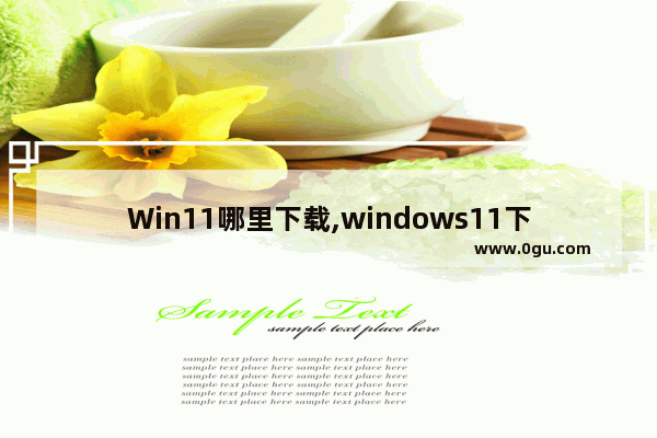 Win11哪里下载,windows11下载方法