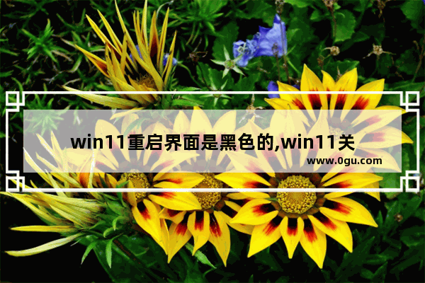 win11重启界面是黑色的,win11关机黑屏