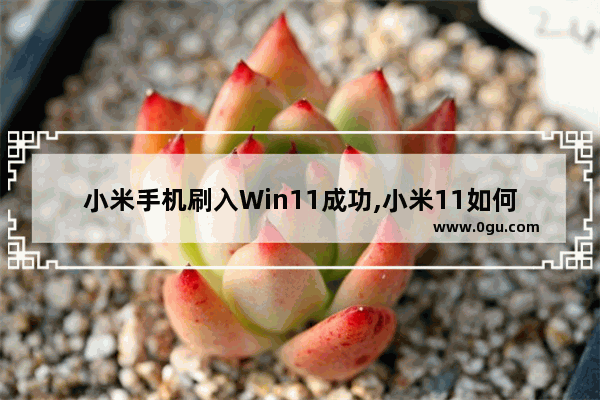 小米手机刷入Win11成功,小米11如何刷系统