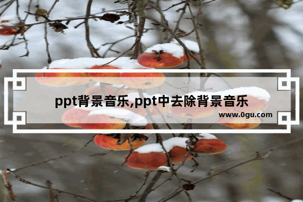 ppt背景音乐,ppt中去除背景音乐