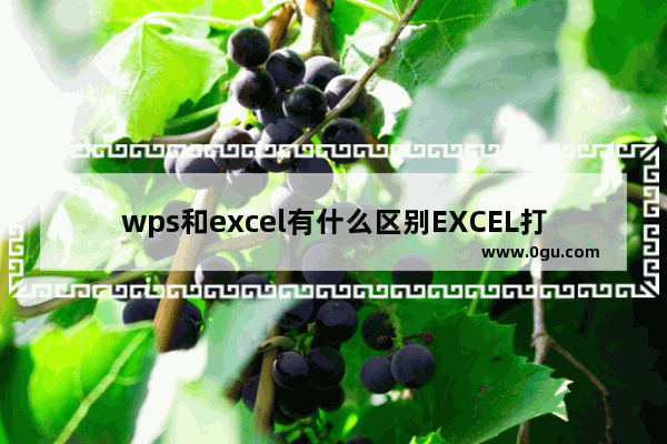 wps和excel有什么区别EXCEL打开吗,wps和excel有什么区别 