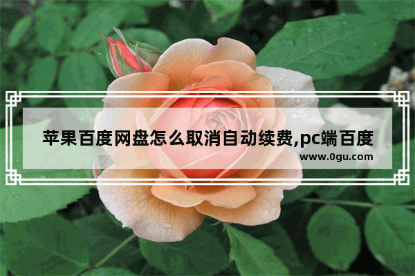 苹果百度网盘怎么取消自动续费,pc端百度网盘怎么取消自动续费