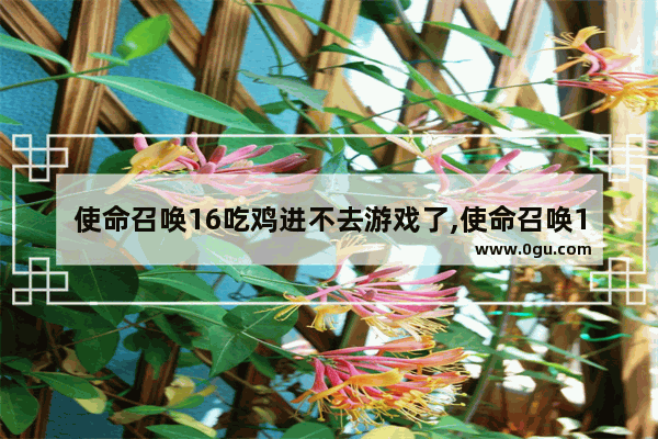 使命召唤16吃鸡进不去游戏了,使命召唤16吃鸡进不去游戏界面