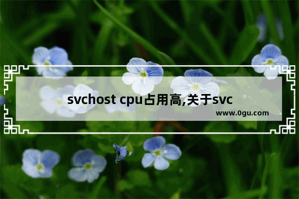 svchost cpu占用高,关于svchost占用巨大内存的问题