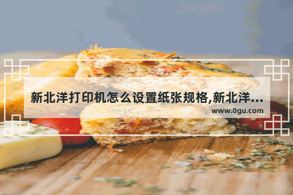 新北洋打印机怎么设置纸张规格,新北洋打印机怎么设置纸张尺寸