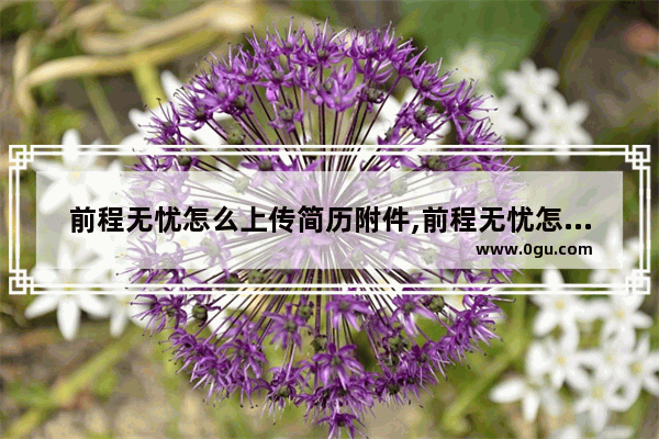 前程无忧怎么上传简历附件,前程无忧怎么上传简历照片