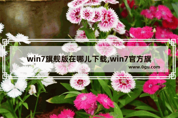 win7旗舰版在哪儿下载,win7官方旗舰版下载地址
