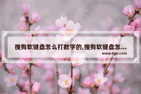 搜狗软键盘怎么打数字的,搜狗软键盘怎么打数字字体