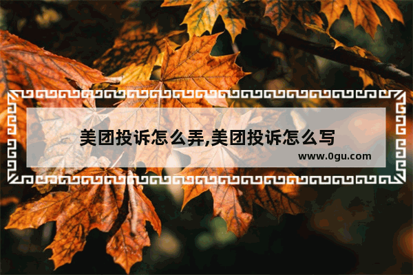 美团投诉怎么弄,美团投诉怎么写
