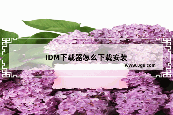IDM下载器怎么下载安装