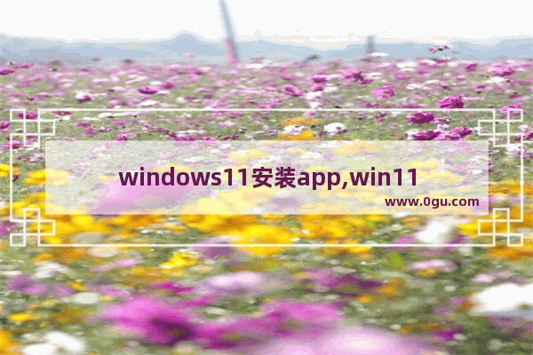 windows11安装app,win11支持所有app