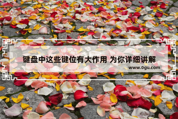 键盘中这些键位有大作用 为你详细讲解