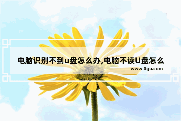 电脑识别不到u盘怎么办,电脑不读U盘怎么办