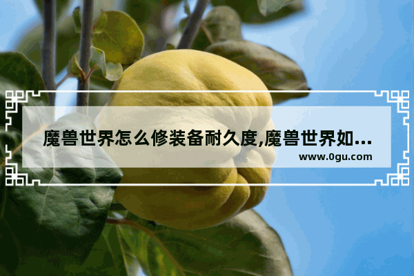 魔兽世界怎么修装备耐久度,魔兽世界如何修装备