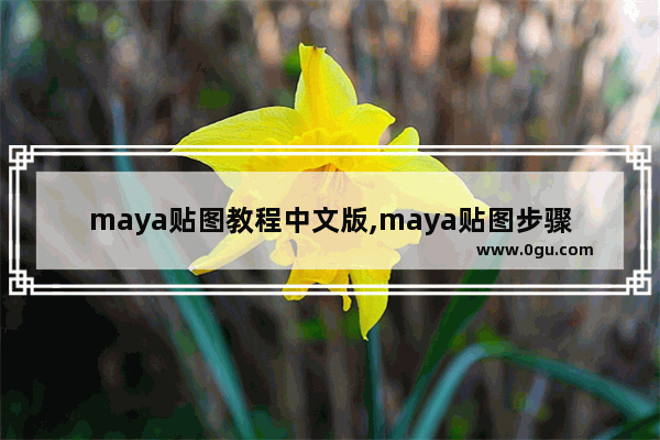 maya贴图教程中文版,maya贴图步骤中文版