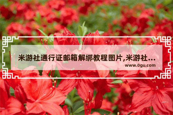 米游社通行证邮箱解绑教程图片,米游社通行证邮箱解绑教程图