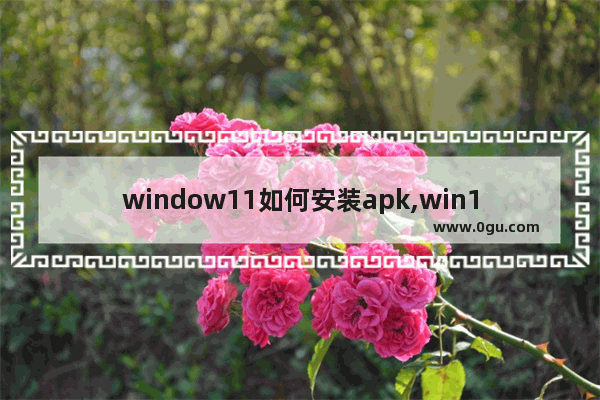 window11如何安装apk,win11支持apk文件吗