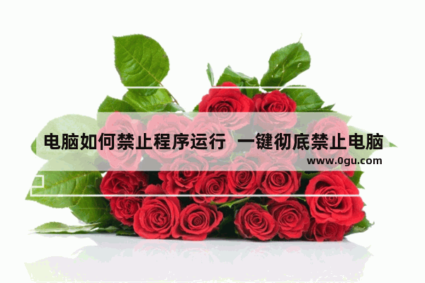 电脑如何禁止程序运行  一键彻底禁止电脑软件运行方法