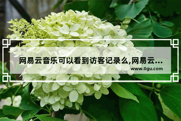 网易云音乐可以看到访客记录么,网易云音乐会显示访客记录吗