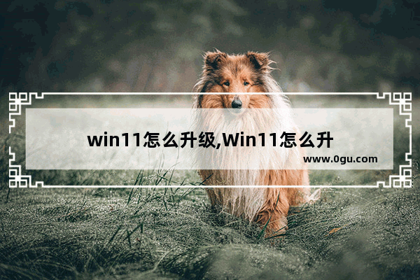 win11怎么升级,Win11怎么升