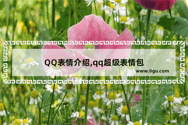 QQ表情介绍,qq超级表情包