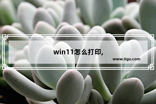 win11怎么打印,