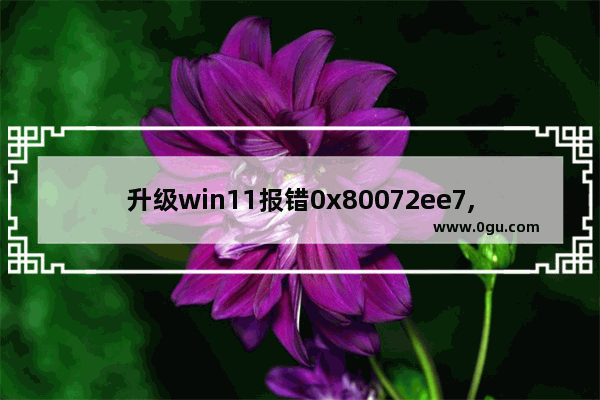 升级win11报错0x80072ee7,Windows10安装错误0x8073701