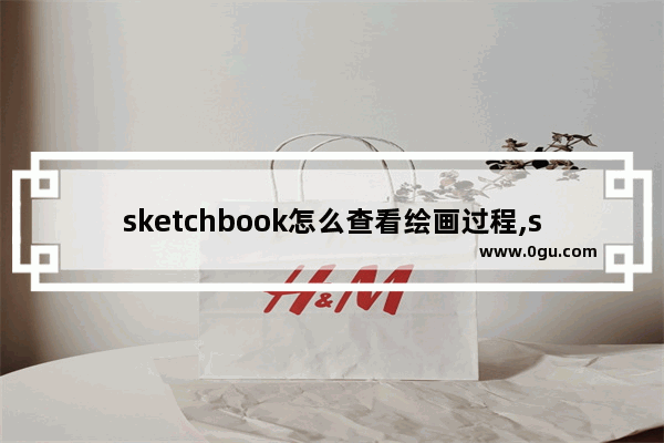 sketchbook怎么查看绘画过程,sketchbook怎么看绘画过程