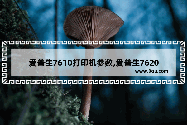 爱普生7610打印机参数,爱普生7620打印机参数
