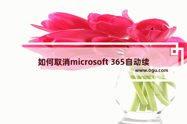 如何取消microsoft 365自动续费,如何停止office自动续费