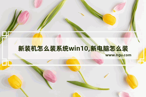 新装机怎么装系统win10,新电脑怎么装win10系统步骤